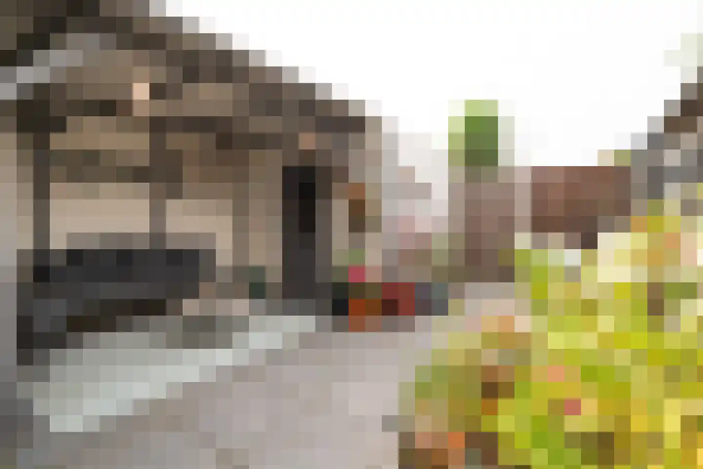 Alardusdreef 83 Rockanje thumbnail 40