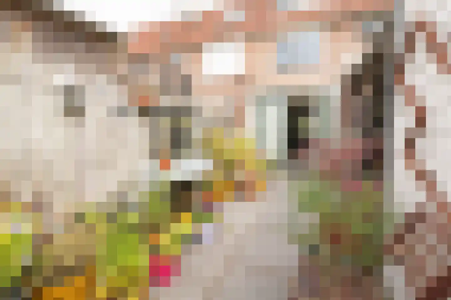 Alardusdreef 83 Rockanje thumbnail 43