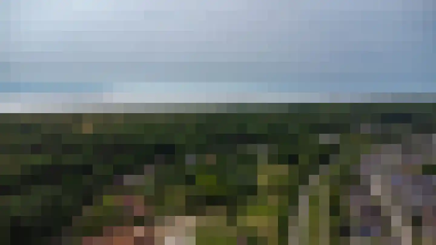 Alardusdreef 83 Rockanje thumbnail 51