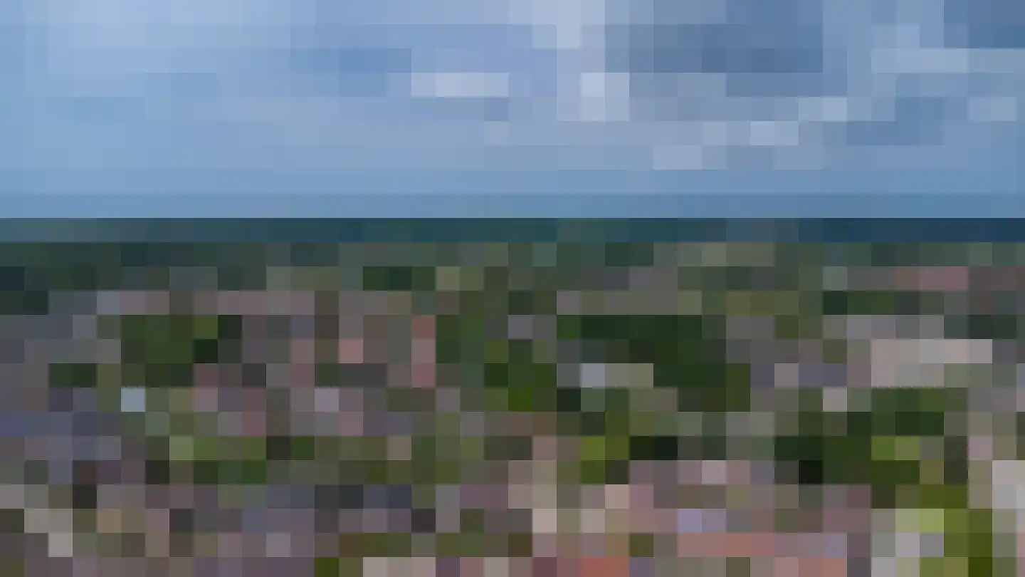 Alardusdreef 83 Rockanje thumbnail 52