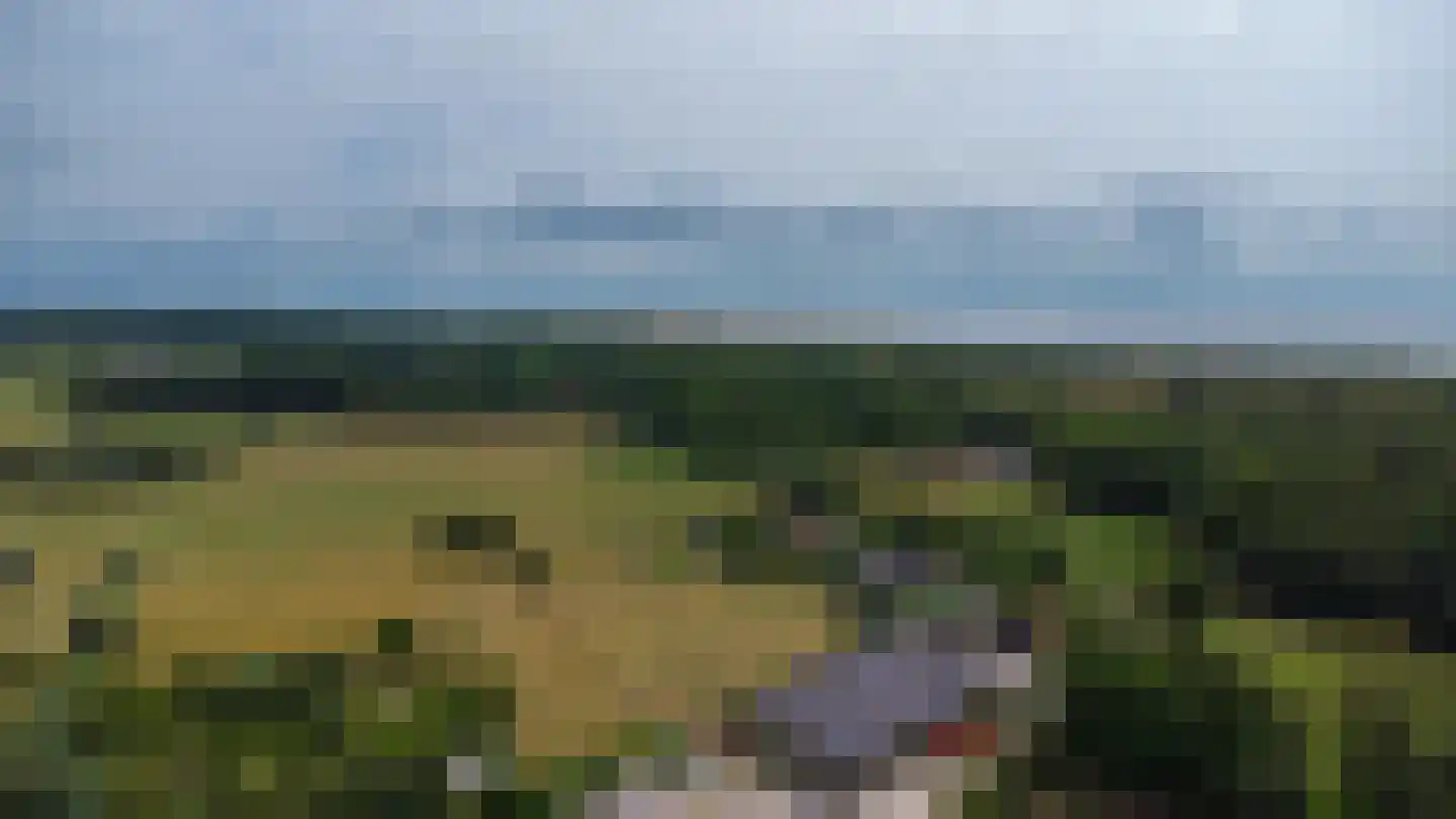 Alardusdreef 83 Rockanje thumbnail 53