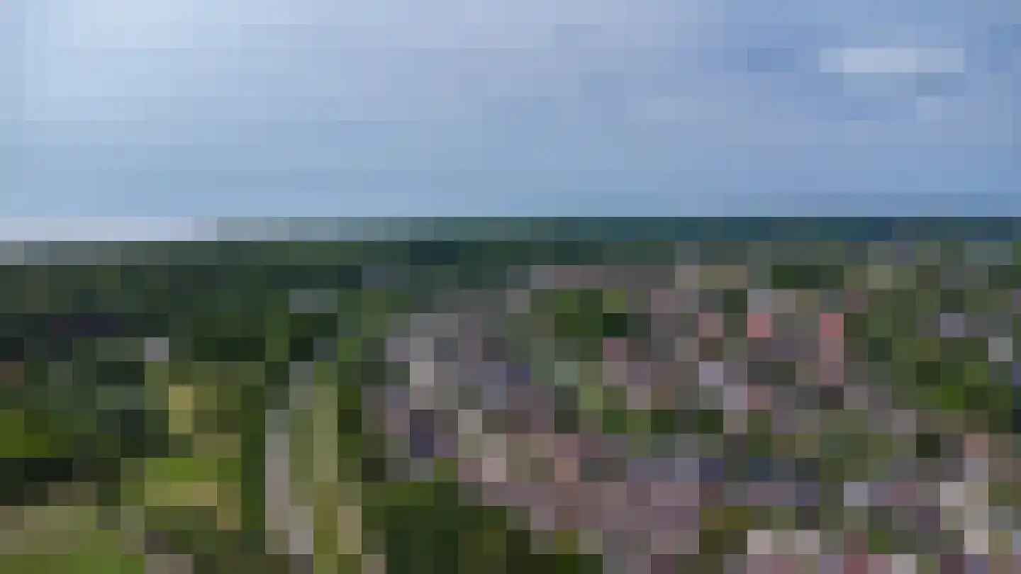 Alardusdreef 83 Rockanje thumbnail 54