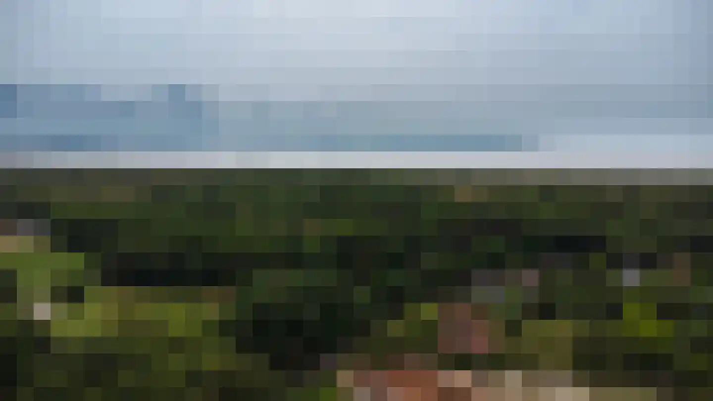 Alardusdreef 83 Rockanje thumbnail 56