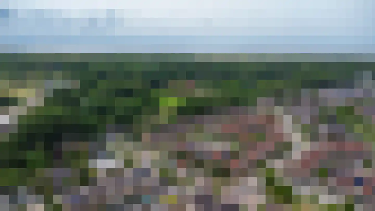 Alardusdreef 83 Rockanje thumbnail 73