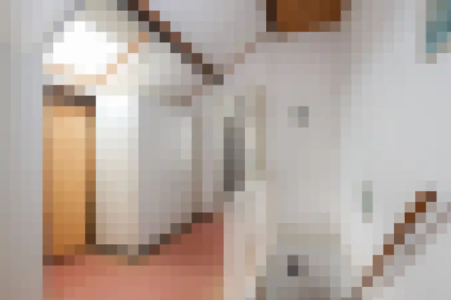 Alardusdreef 90 Rockanje thumbnail 43