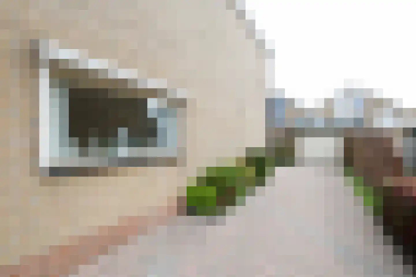 Alardusdreef 90 Rockanje thumbnail 49
