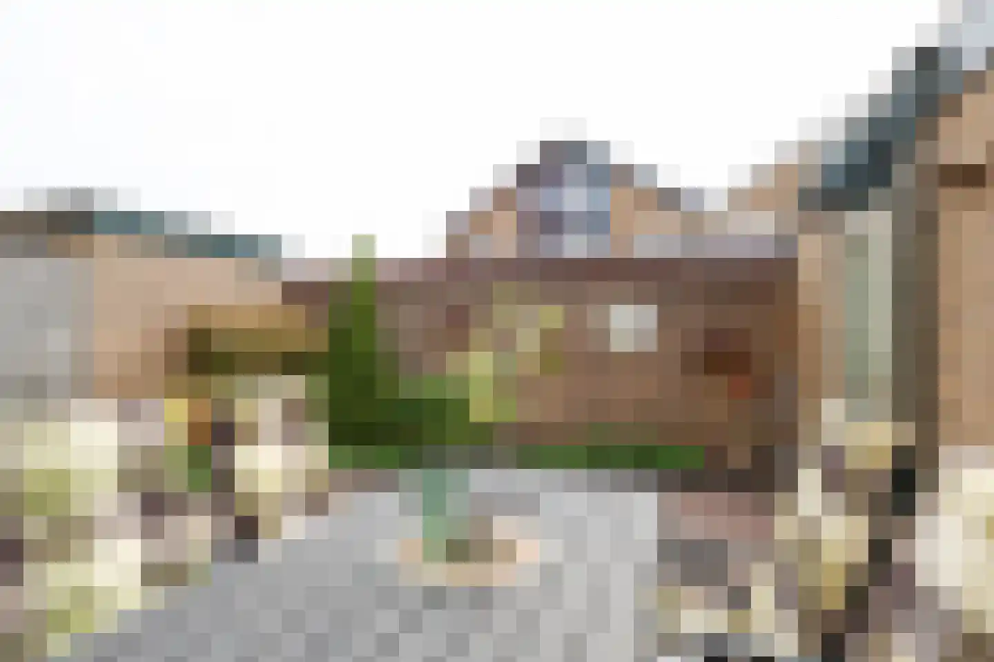 Alardusdreef 90 Rockanje thumbnail 61