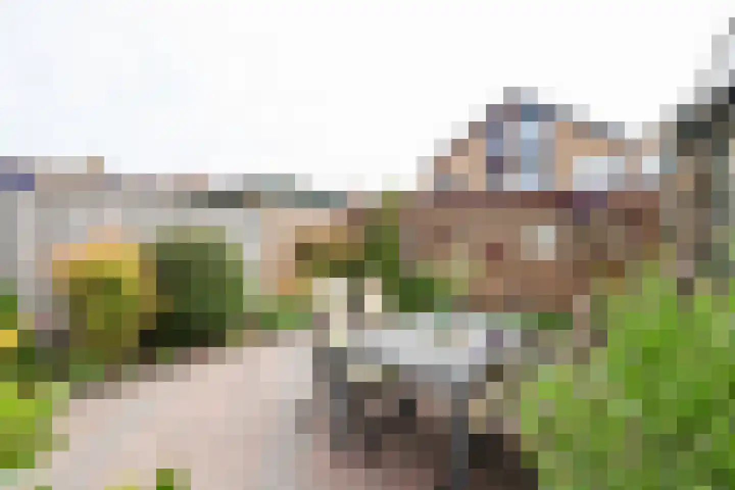 Alardusdreef 90 Rockanje thumbnail 62