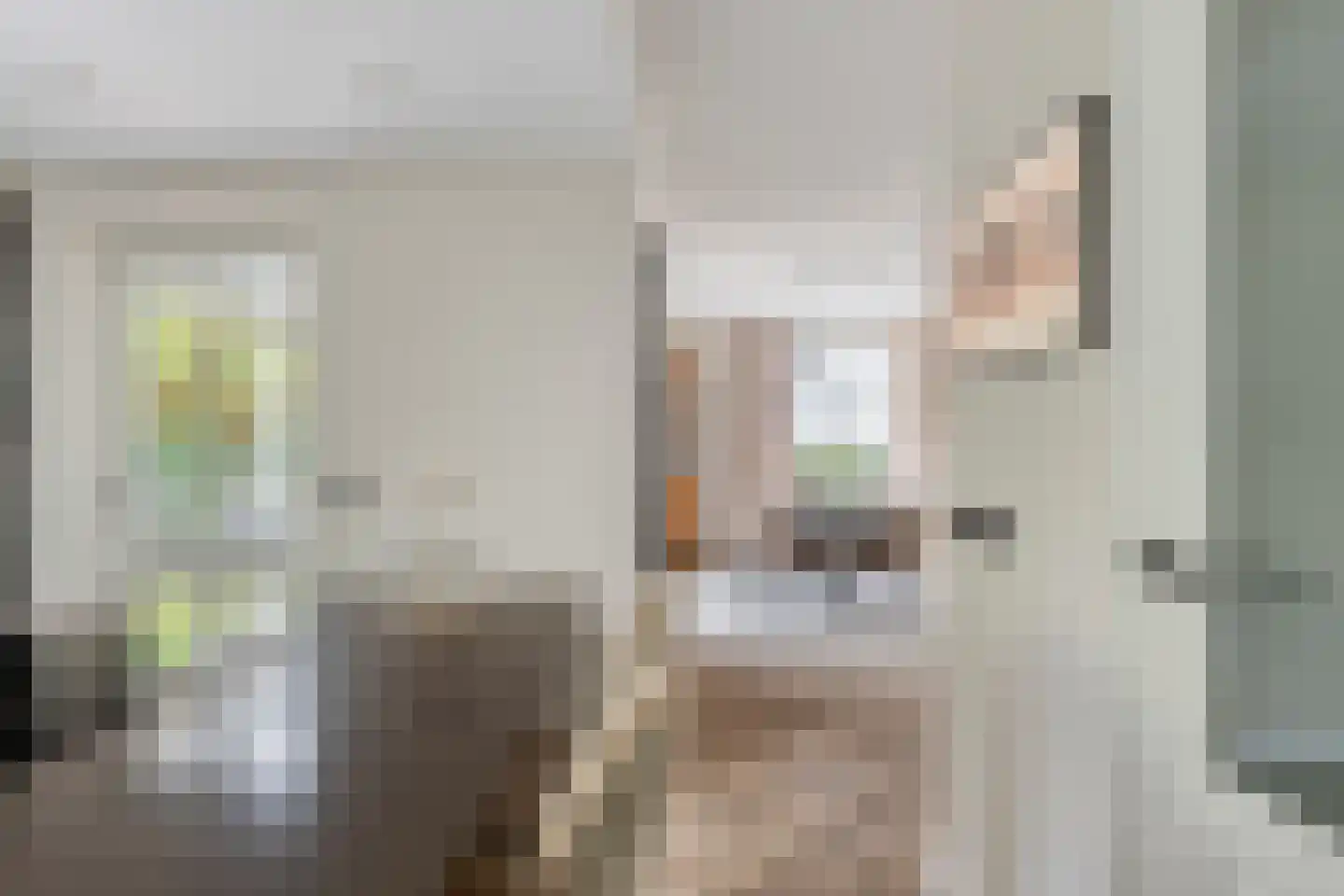 Alartserf 4 Helmond thumbnail 23