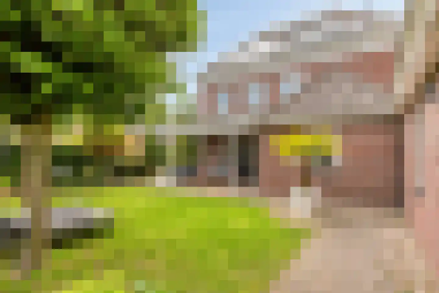 Alartserf 4 Helmond thumbnail 4