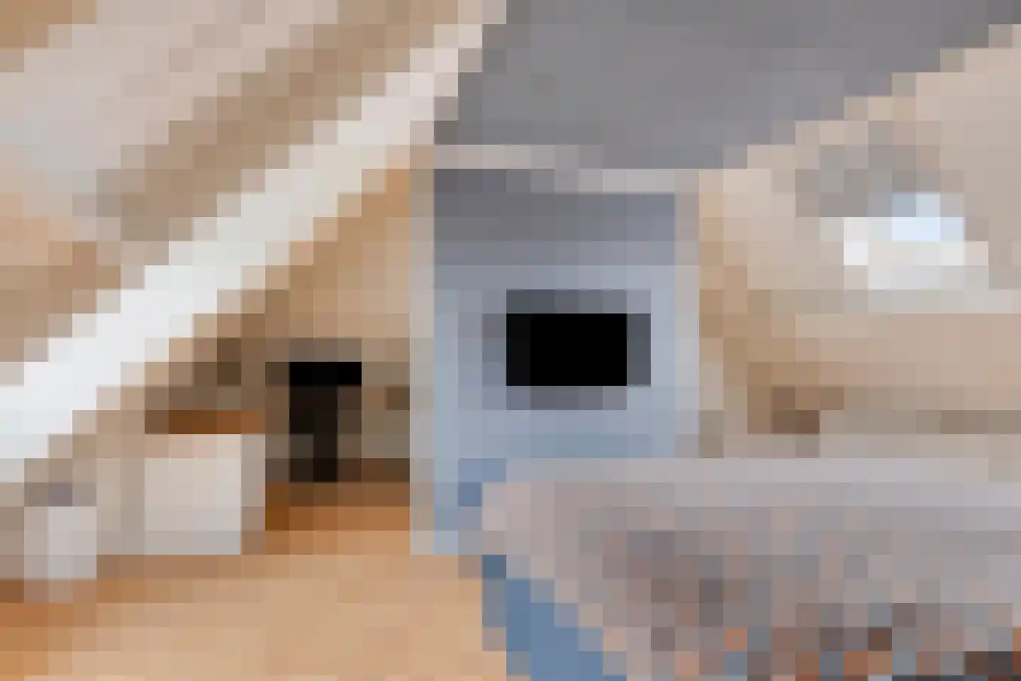 Alartserf 4 Helmond thumbnail 46
