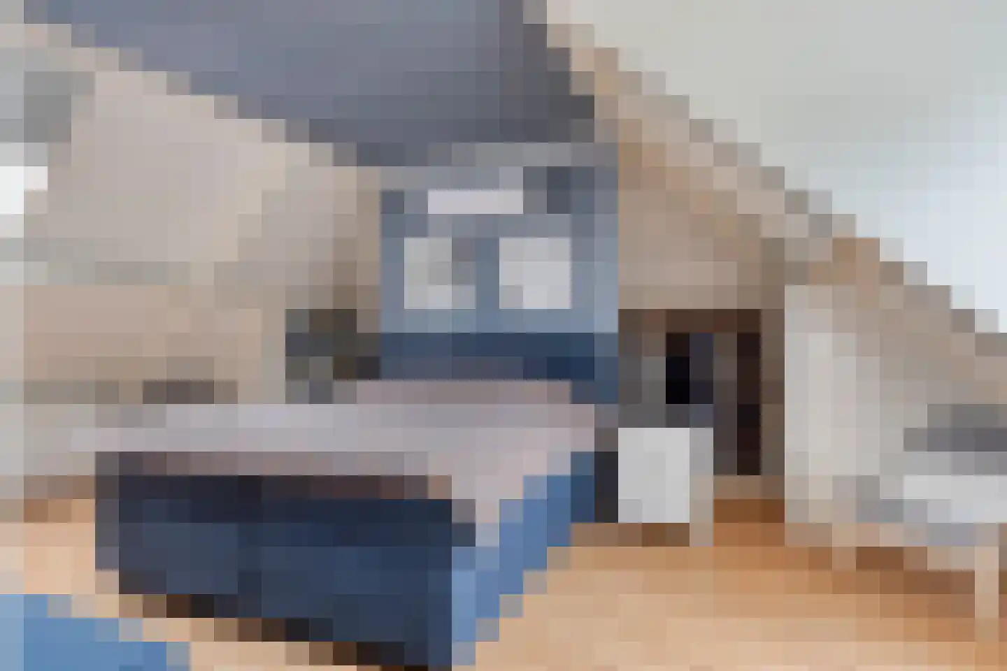 Alartserf 4 Helmond thumbnail 49