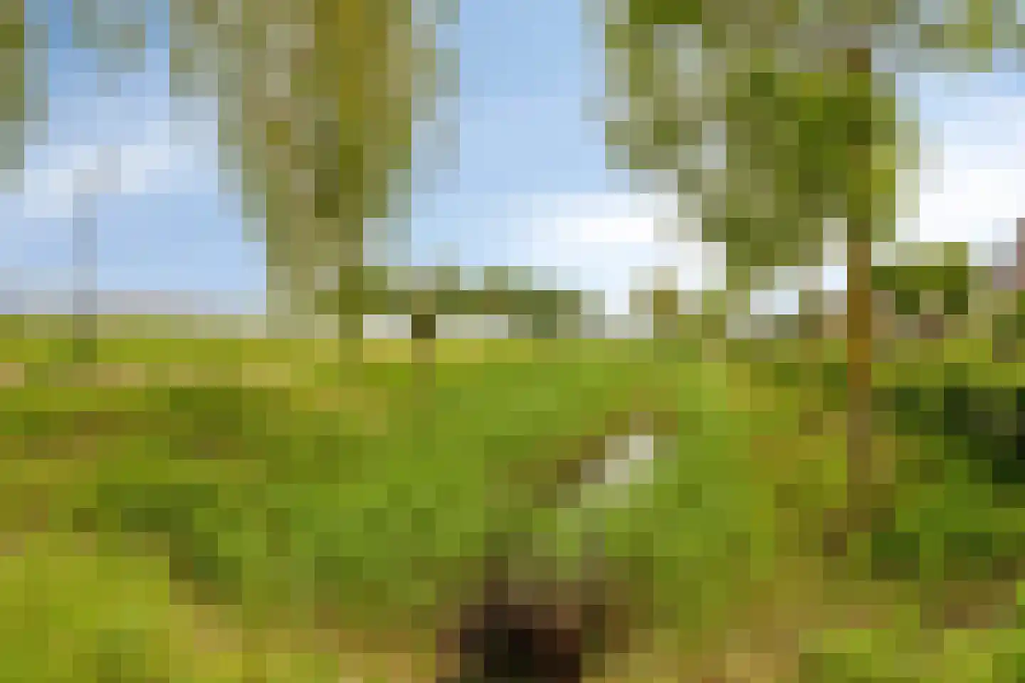 Alartserf 4 Helmond thumbnail 53