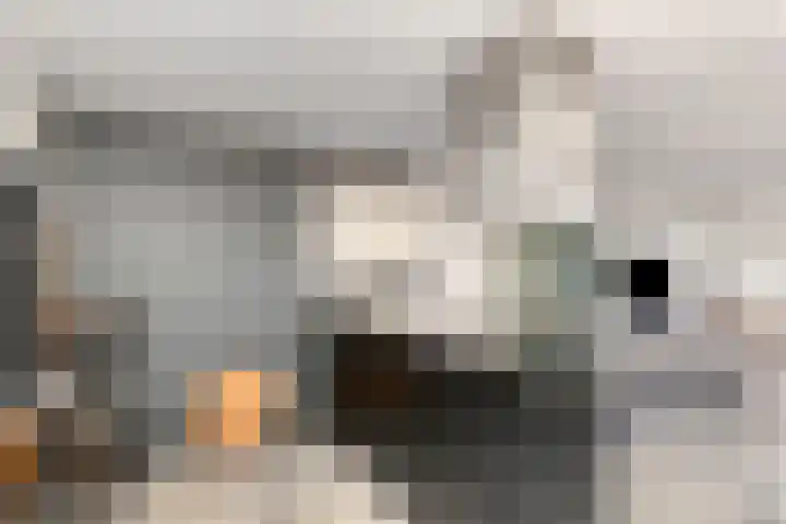 Alaskahof 20 IJsselstein thumbnail 16