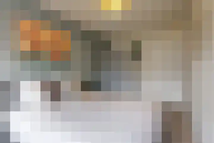 Alaskahof 30 IJsselstein thumbnail 16