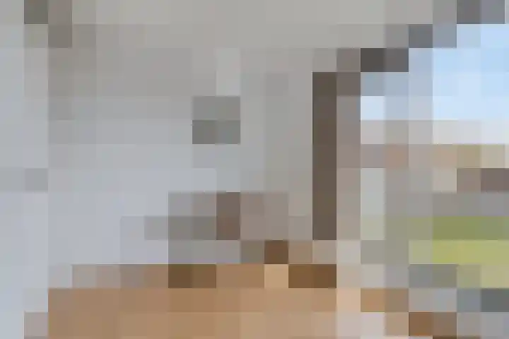 Alaskahof 4 IJsselstein thumbnail 26