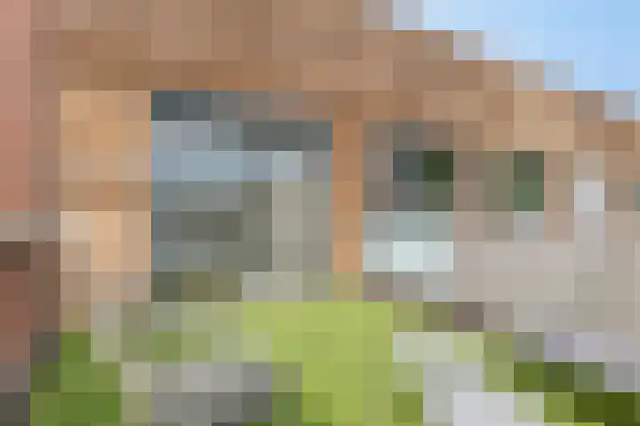 Alaskahof 4 IJsselstein thumbnail 28