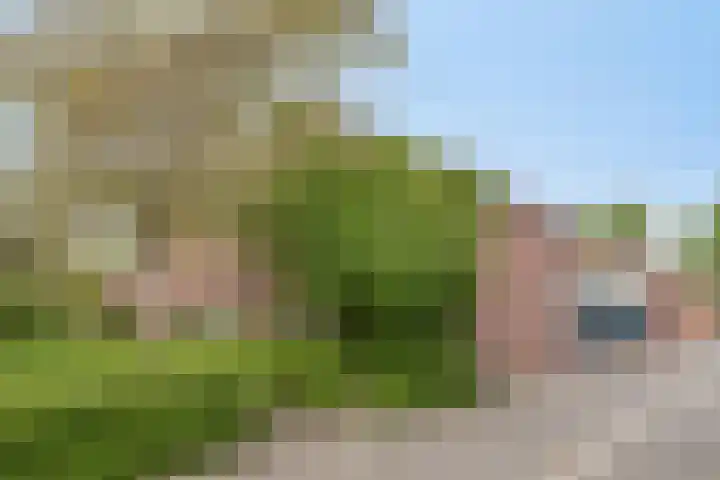 Alaskahof 4 IJsselstein thumbnail 43