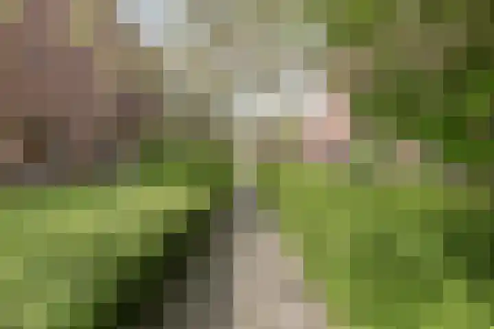 Alaskahof 4 IJsselstein thumbnail 7