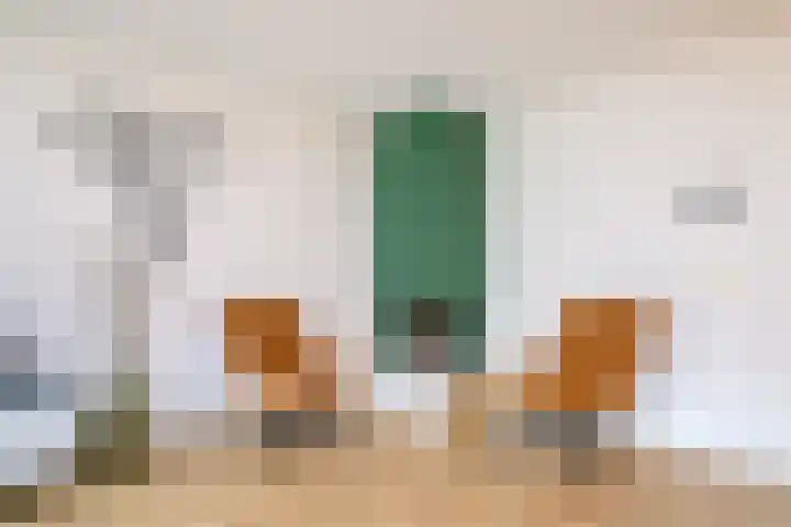 Alaskastroom 10 Huizen thumbnail 16