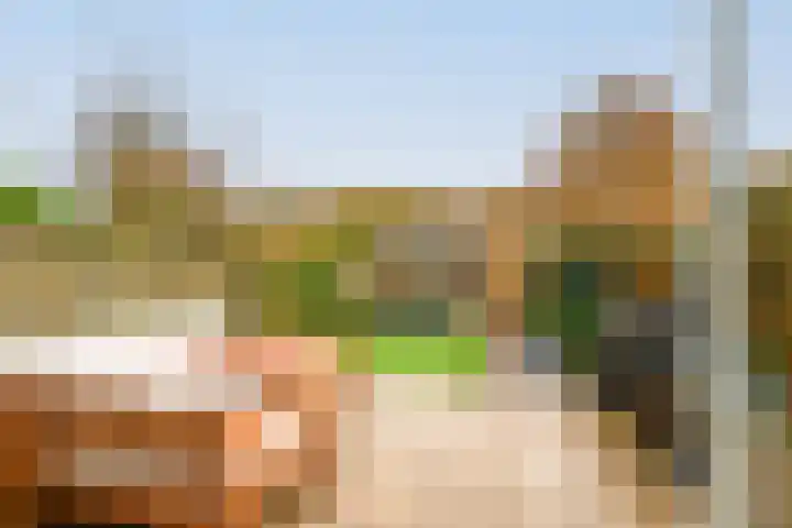 Alaskastroom 10 Huizen thumbnail 22