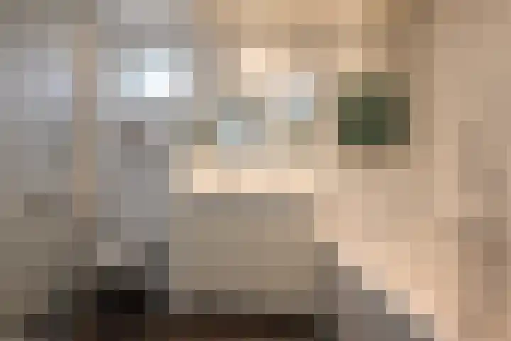 Alaskastroom 10 Huizen thumbnail 36