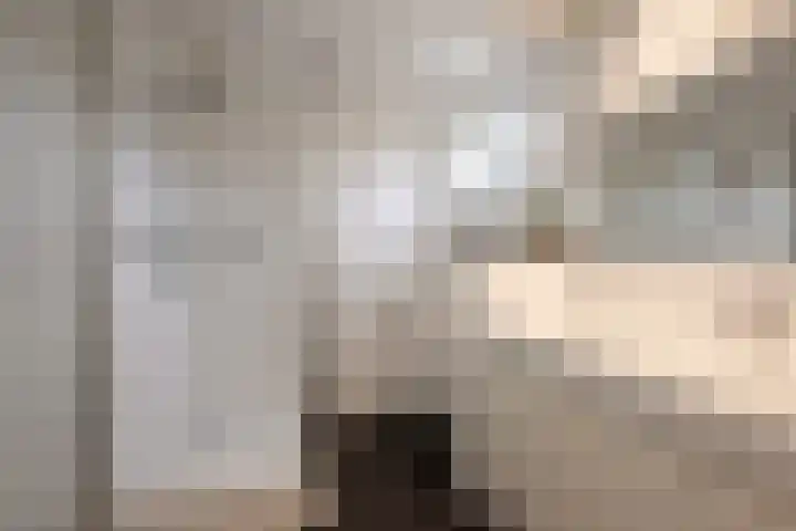 Alaskastroom 10 Huizen thumbnail 37