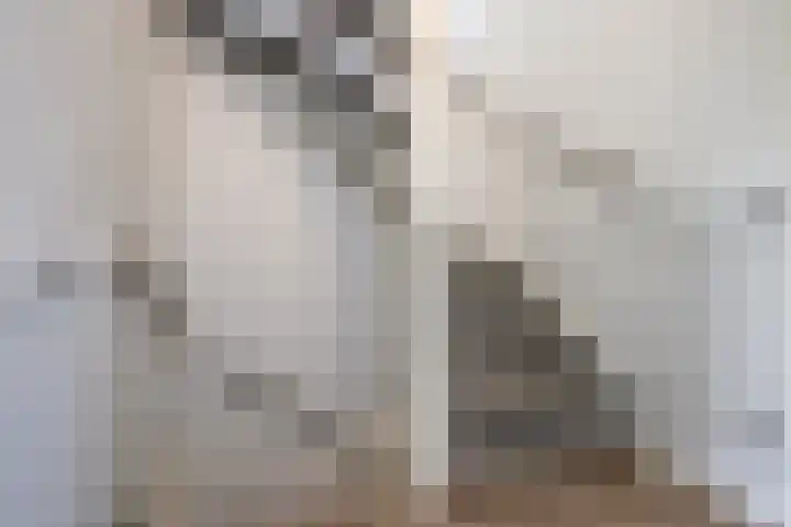 Alaskastroom 10 Huizen thumbnail 39