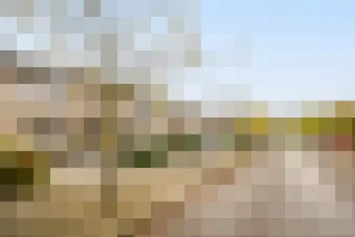 Alaskastroom 10 Huizen thumbnail 46