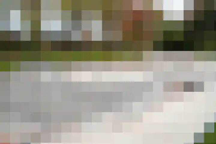 Alaskastroom 10 Huizen thumbnail 47