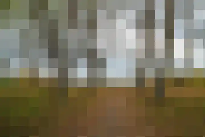 Alaskastroom 10 Huizen thumbnail 48