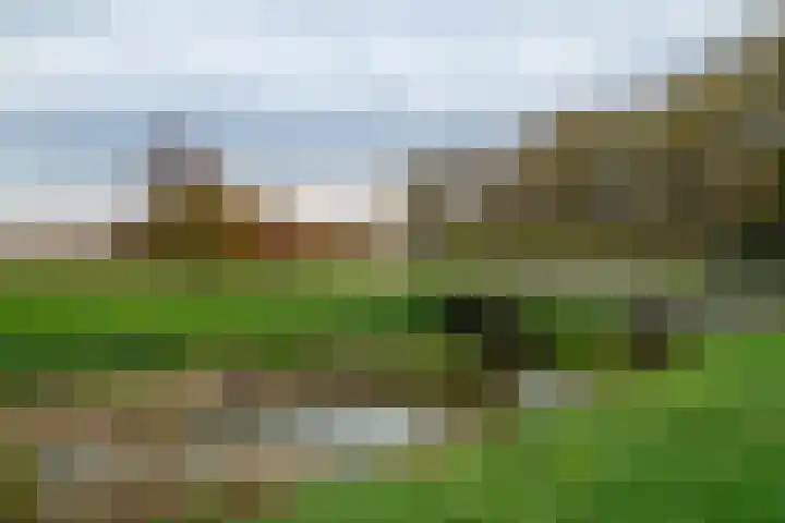 Alaskastroom 10 Huizen thumbnail 49