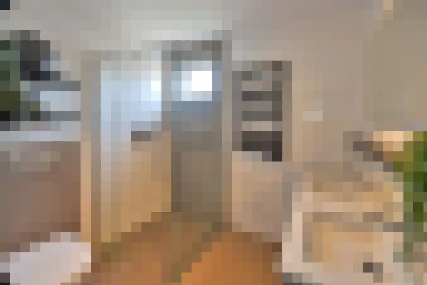 Alaskastroom 2 Huizen thumbnail 11