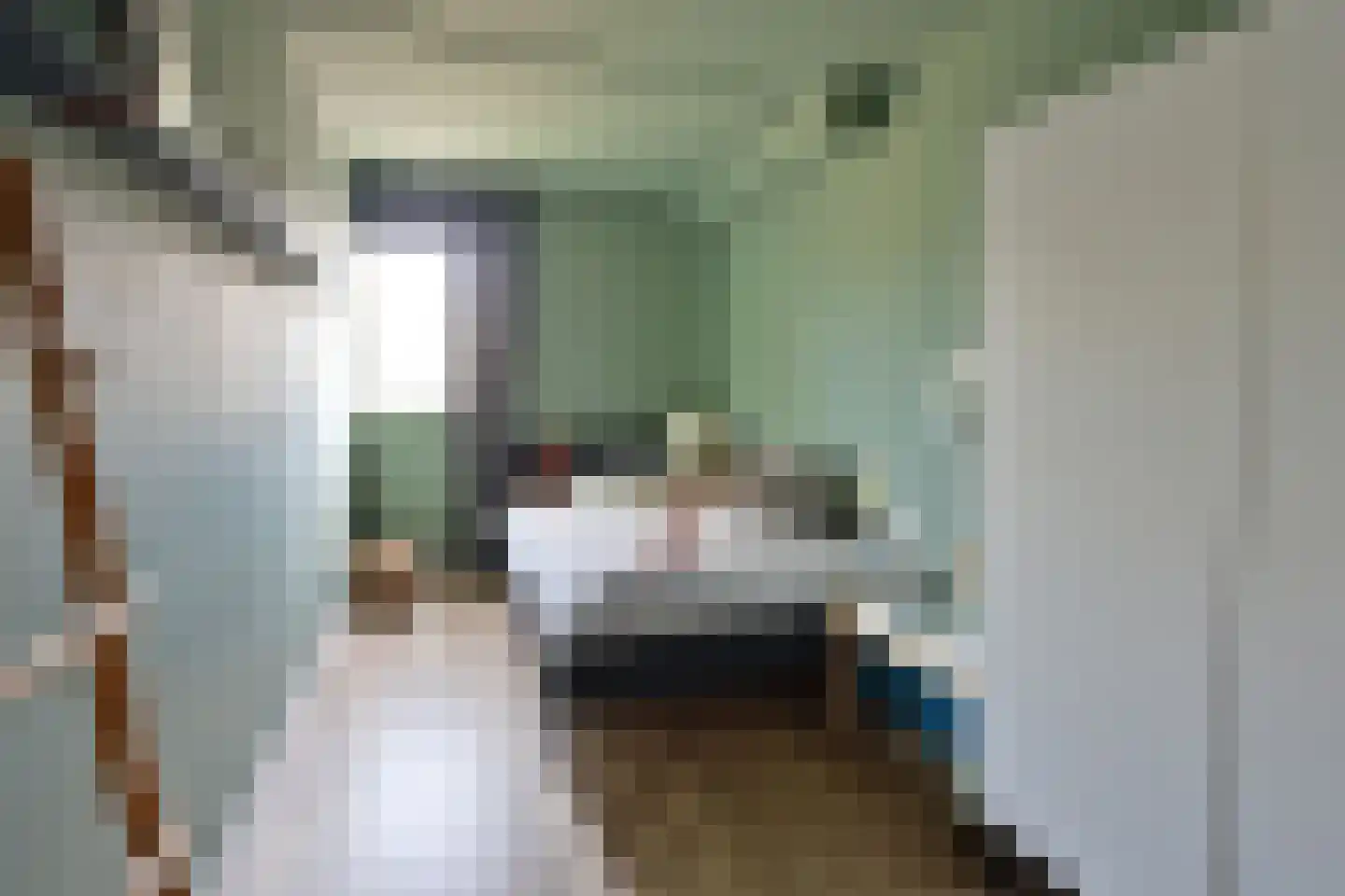 Alaskastroom 2 Huizen thumbnail 13
