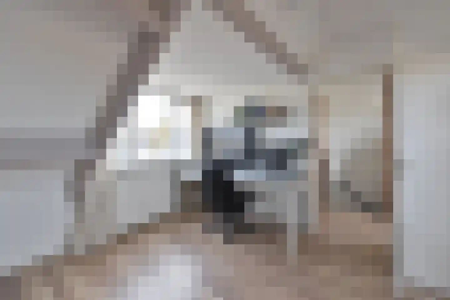 Alaskastroom 2 Huizen thumbnail 14