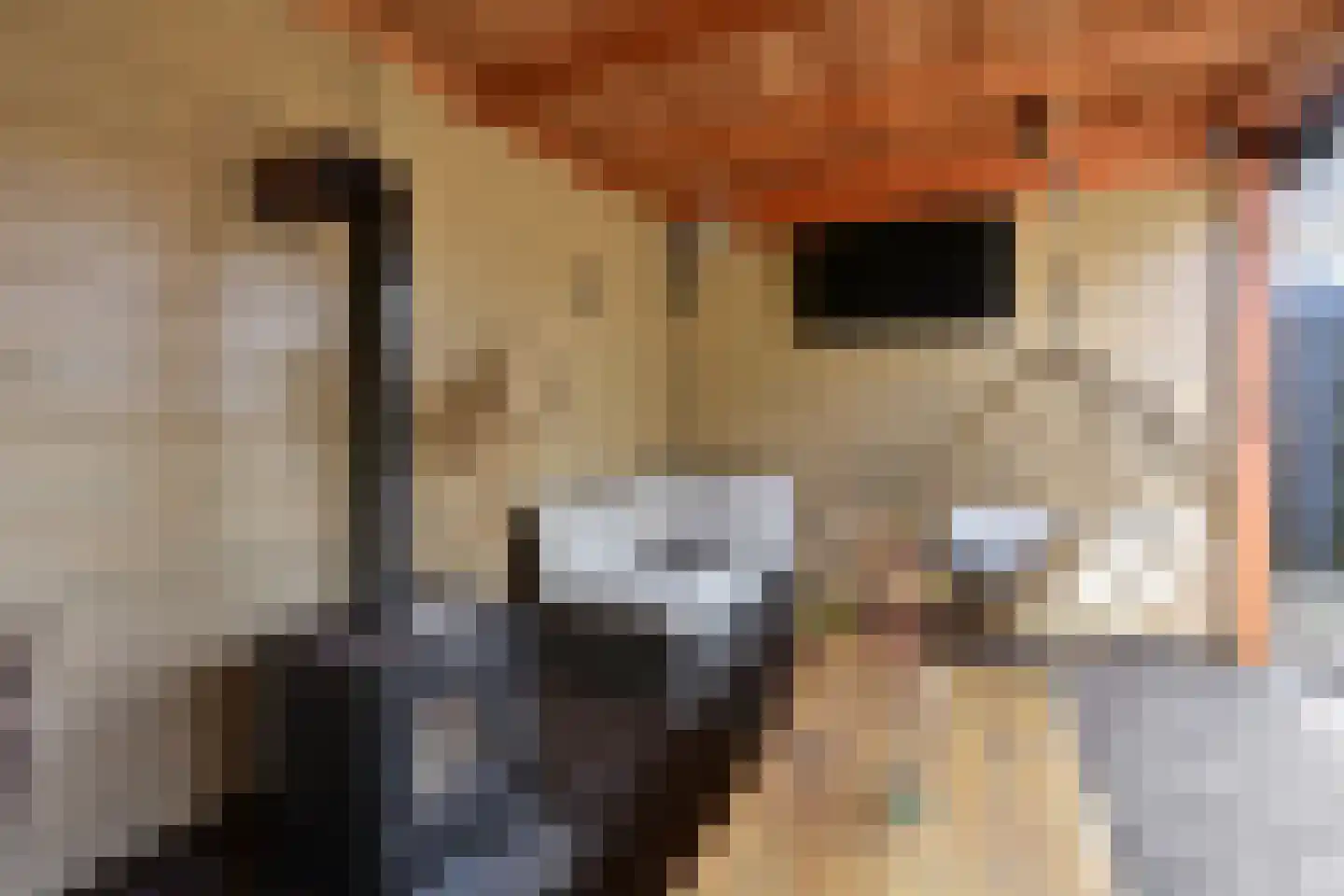 Alaskastroom 2 Huizen thumbnail 17