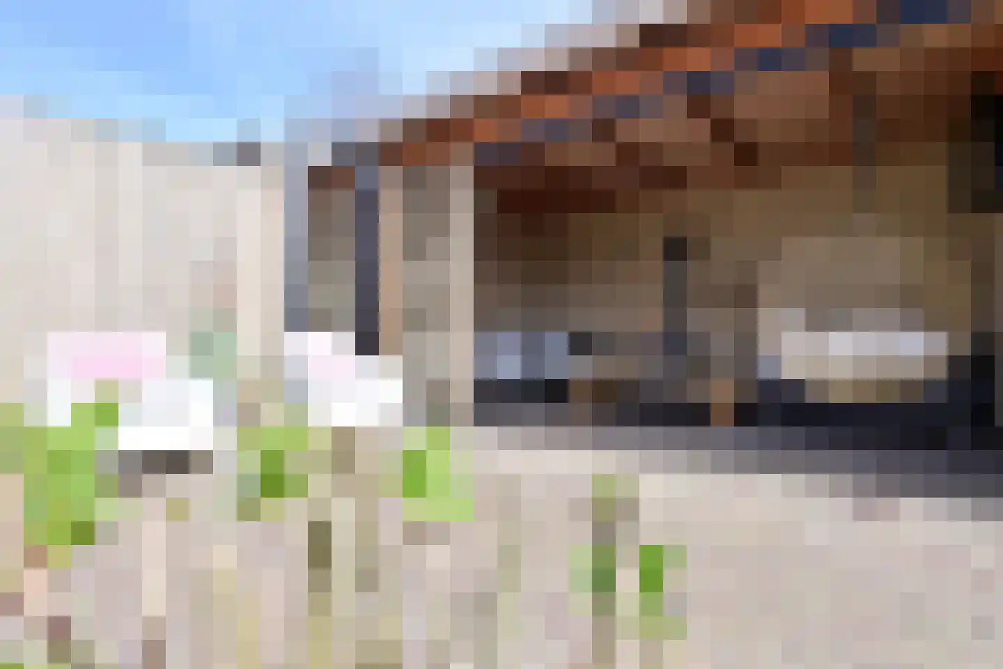 Alaskastroom 2 Huizen thumbnail 18