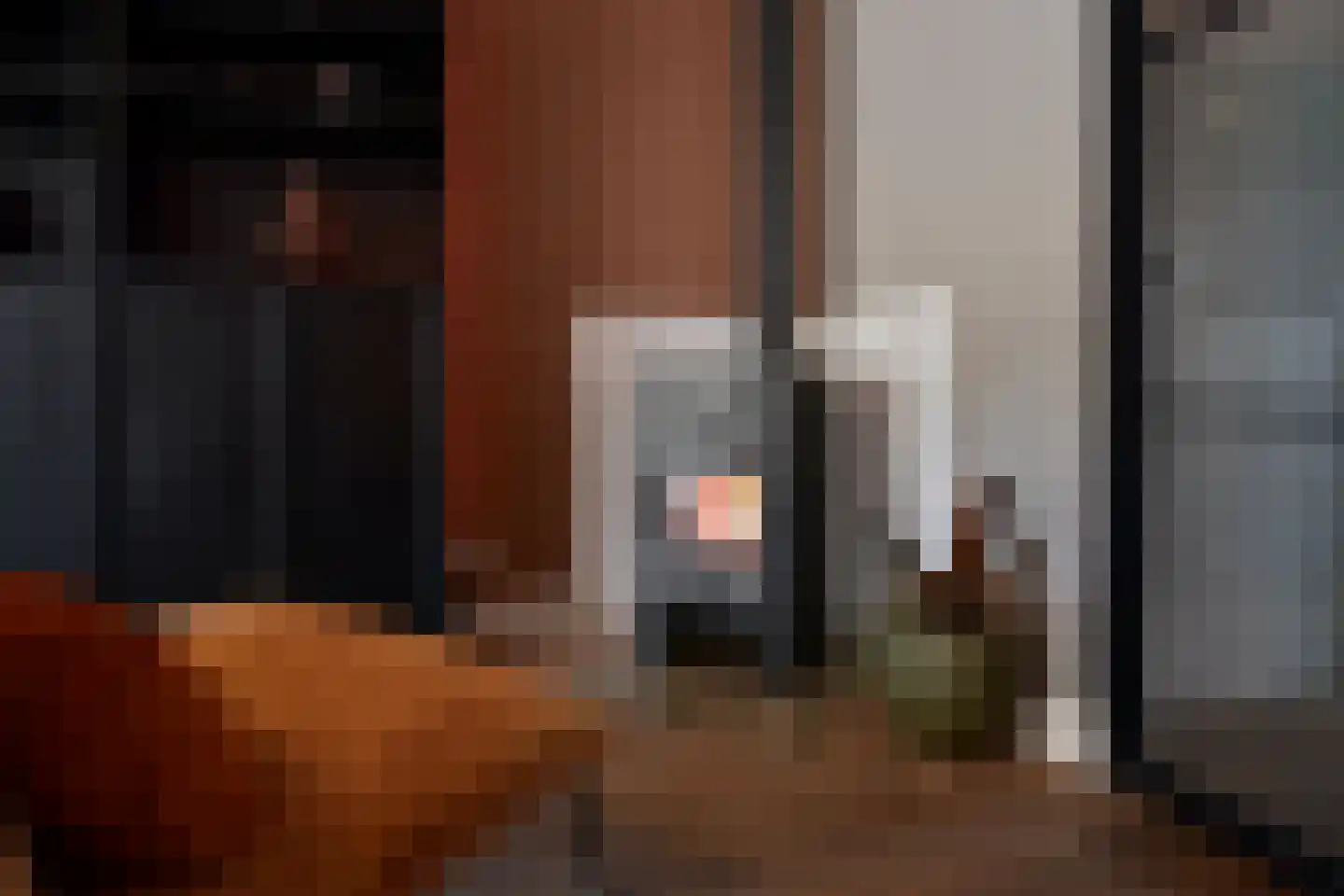 Alaskastroom 2 Huizen thumbnail 7