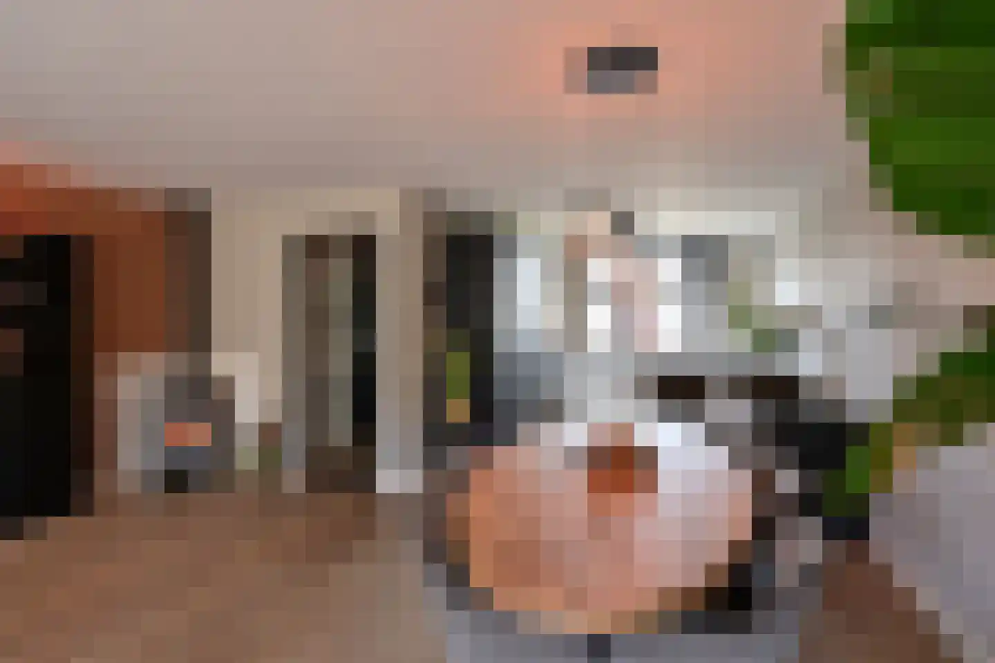 Alaskastroom 2 Huizen thumbnail 8
