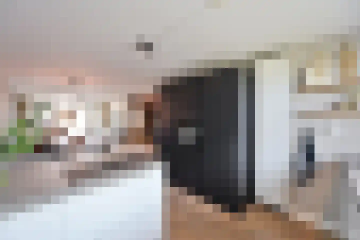 Alaskastroom 2 Huizen thumbnail 9