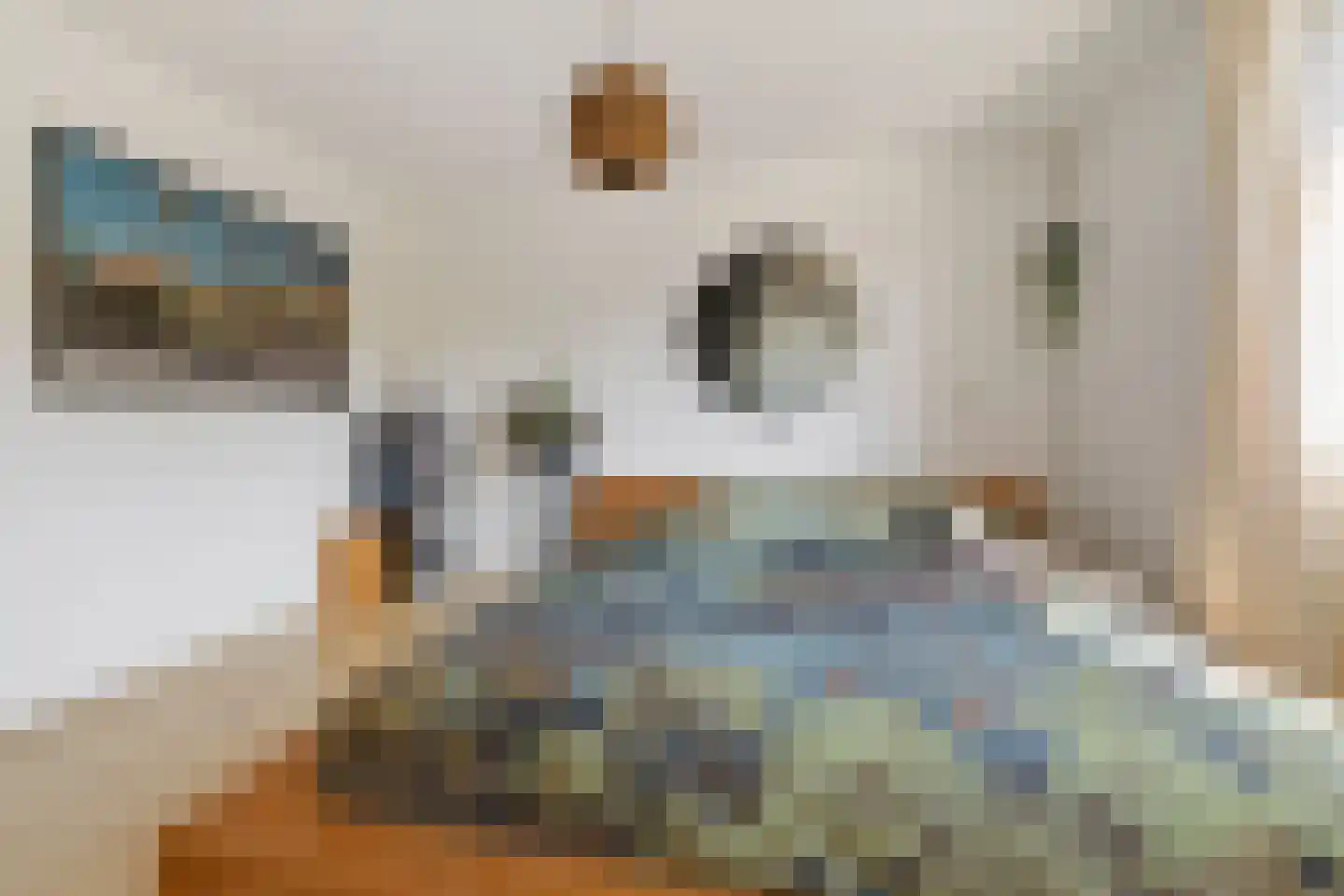 Alaskastroom 26 Huizen thumbnail 11