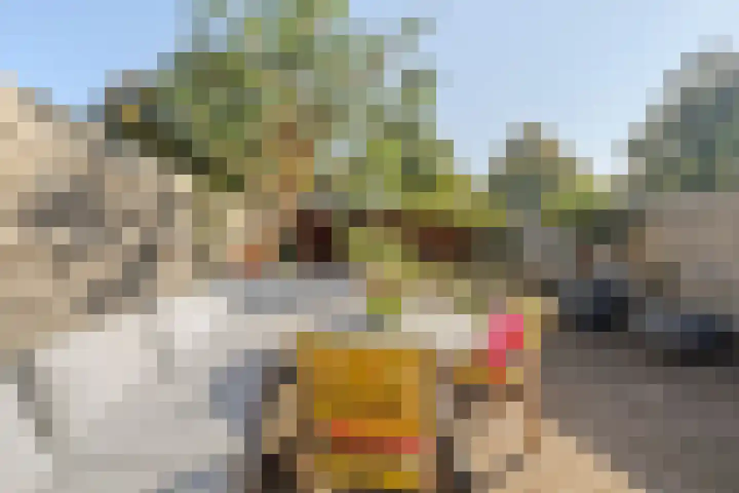 Alaskastroom 26 Huizen thumbnail 21