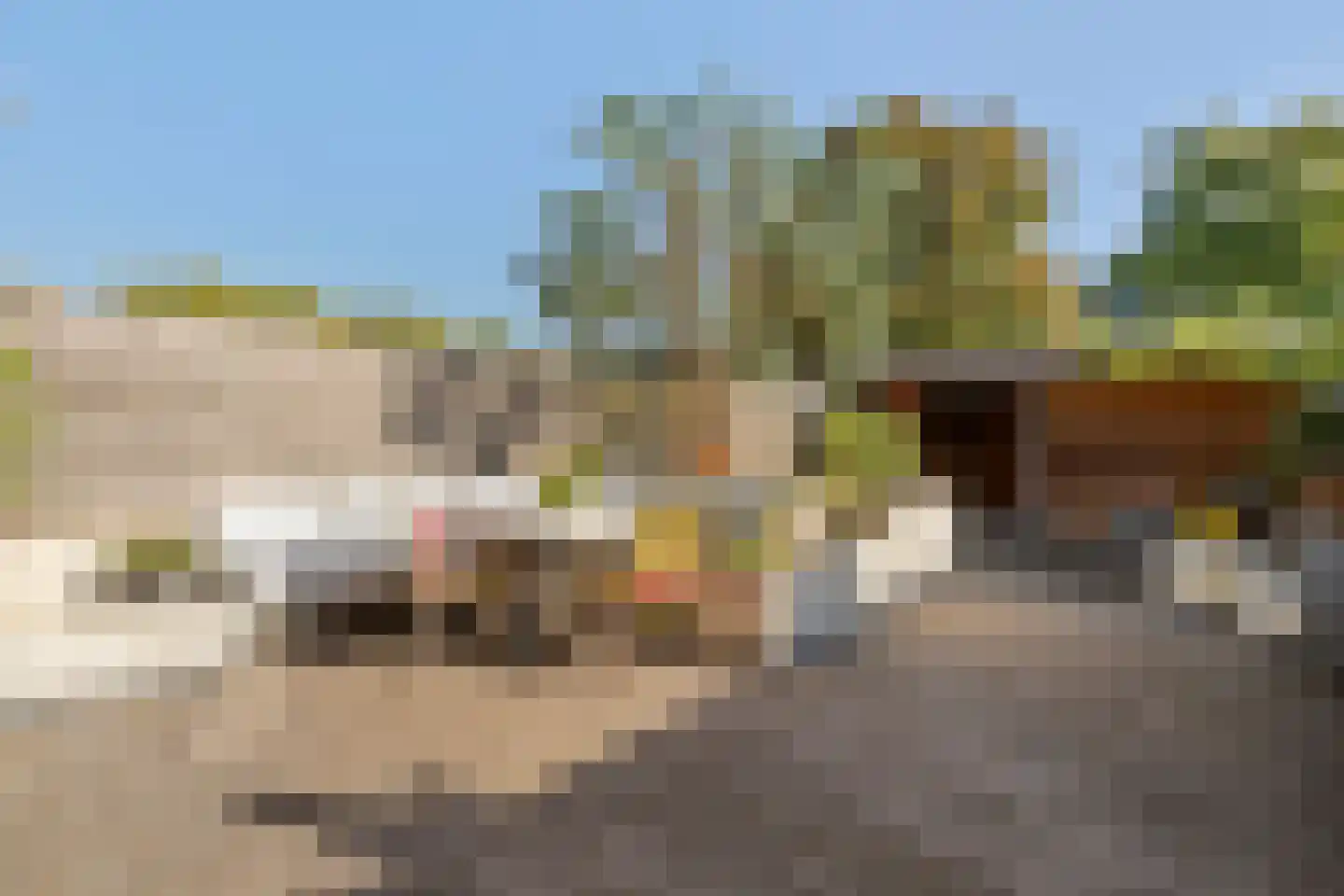 Alaskastroom 26 Huizen thumbnail 22