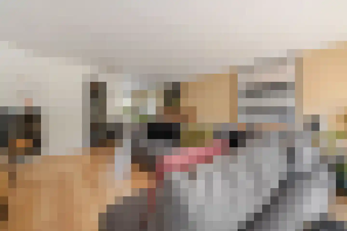 Alaskastroom 26 Huizen thumbnail 4