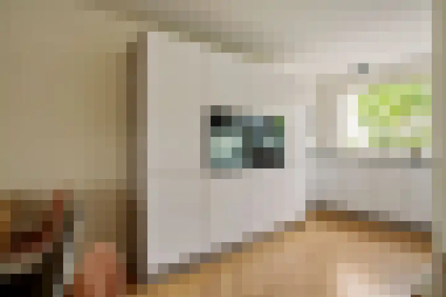 Alaskastroom 29 Huizen thumbnail 10