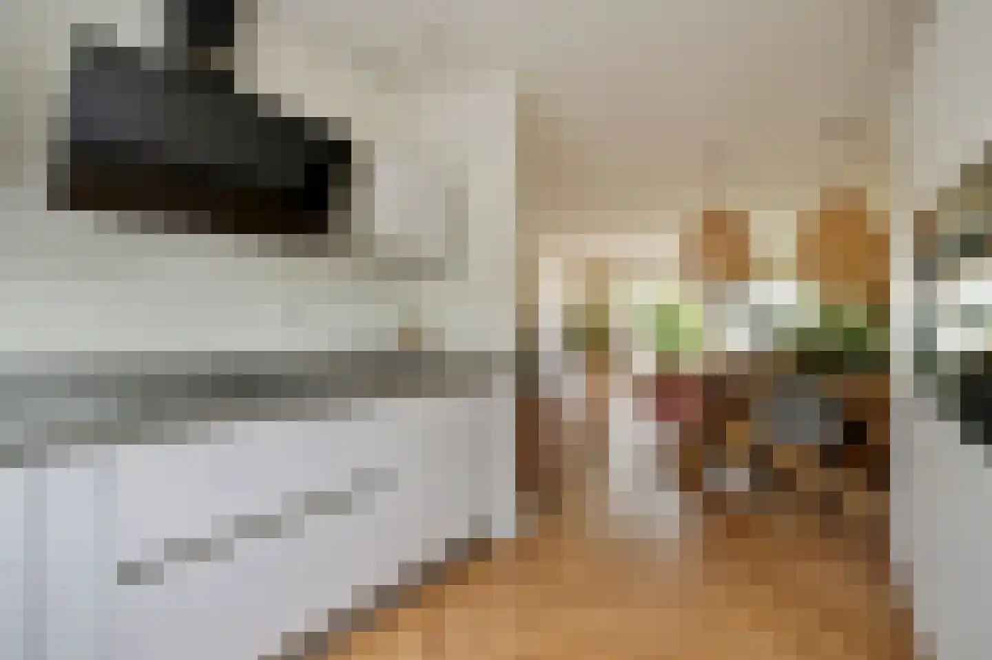 Alaskastroom 29 Huizen thumbnail 11
