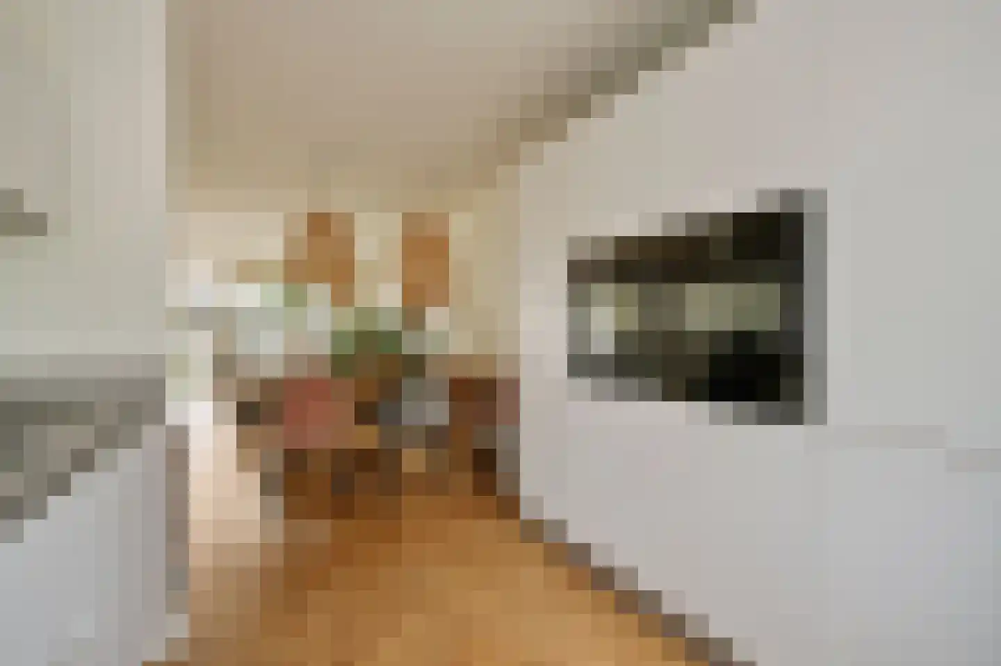 Alaskastroom 29 Huizen thumbnail 12