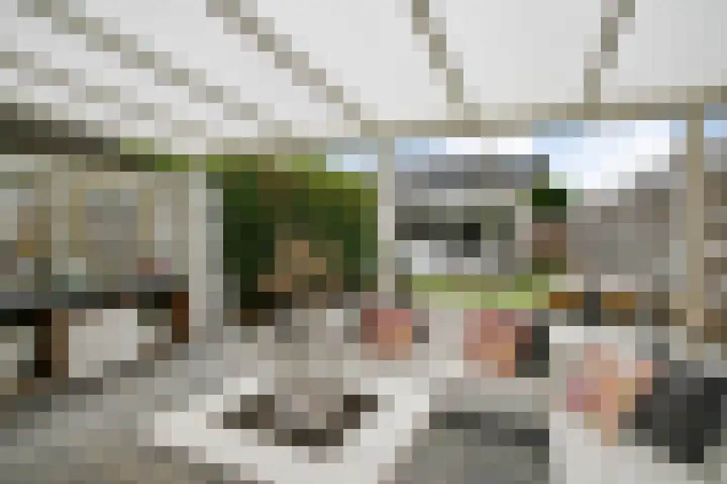 Alaskastroom 29 Huizen thumbnail 14