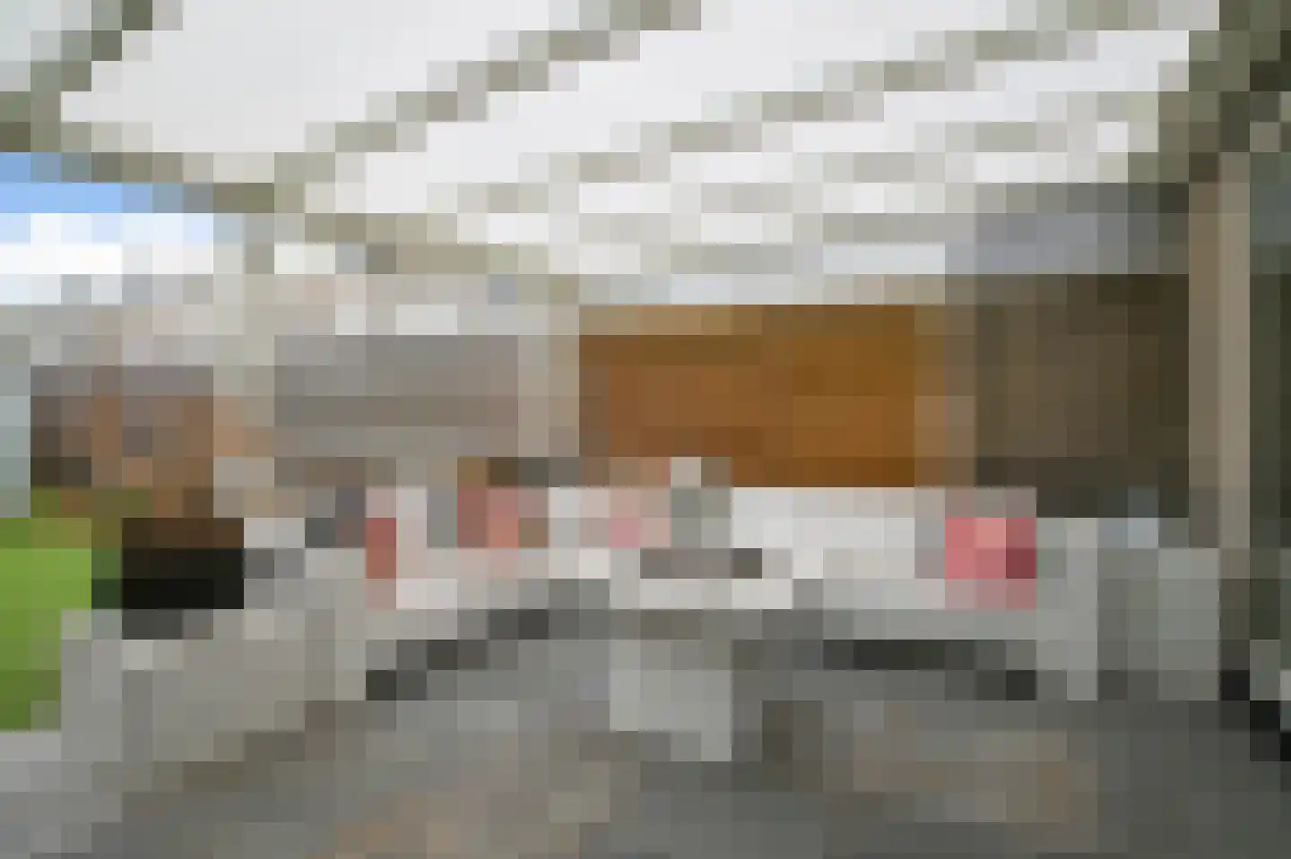 Alaskastroom 29 Huizen thumbnail 16