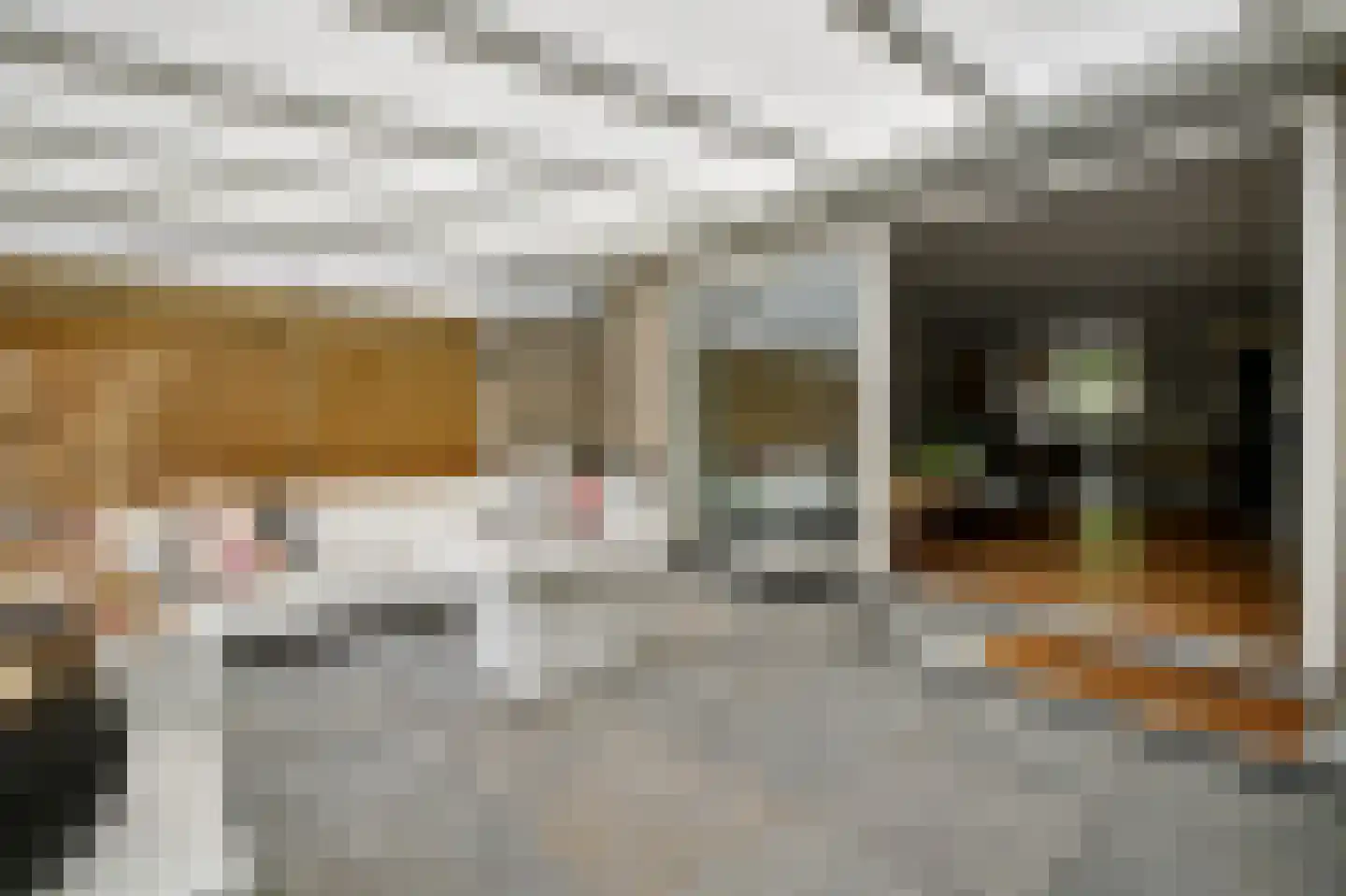 Alaskastroom 29 Huizen thumbnail 19
